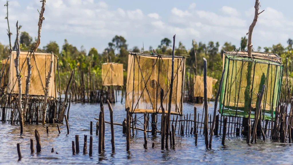 Kanał Pangalanes na Madagaskarze