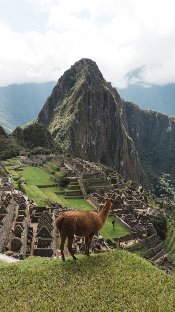 Machu Pichu w Peru