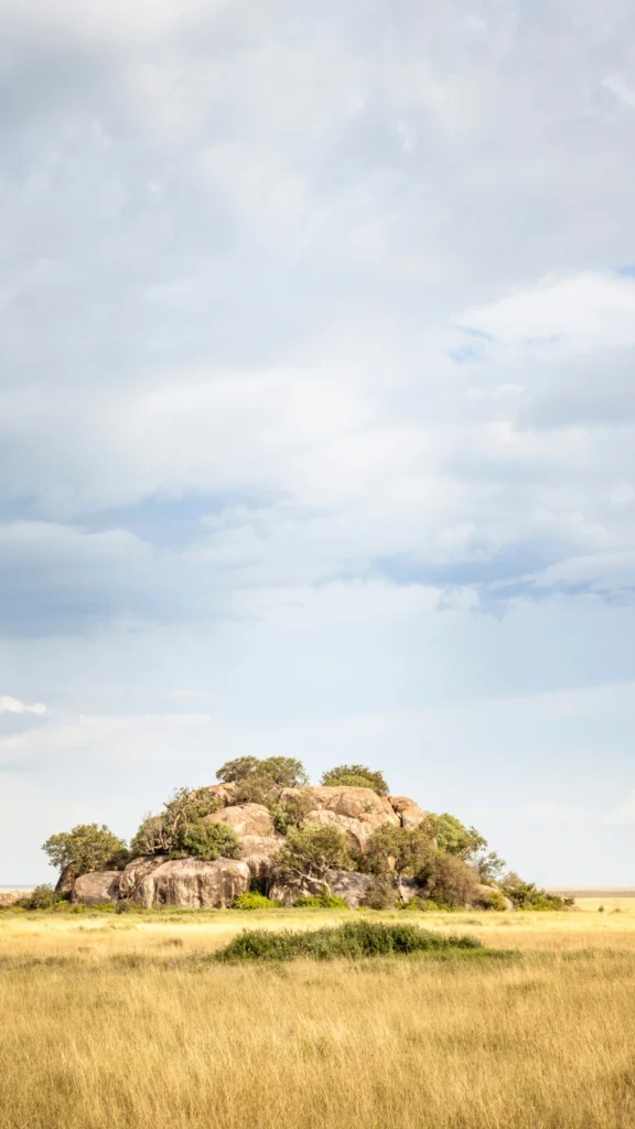 Park Narodowy Serengeti w Tanzanii