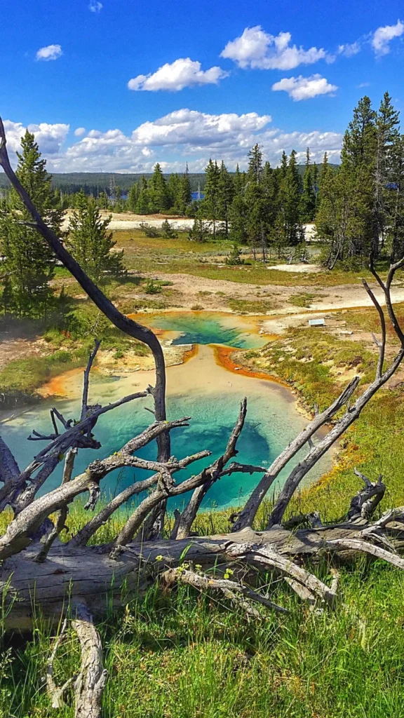 Park Narodowy Yellowstone w USA