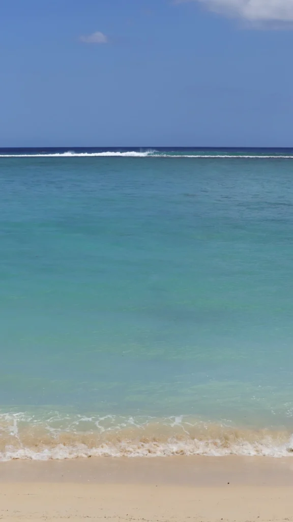 Plaża Flic en Flac,