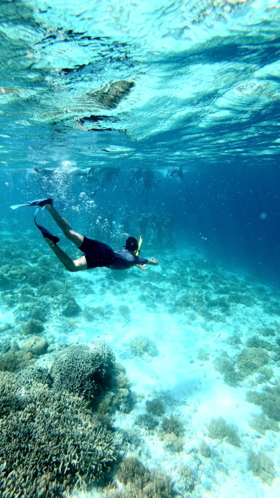 Snorkeling na rafach koralowych