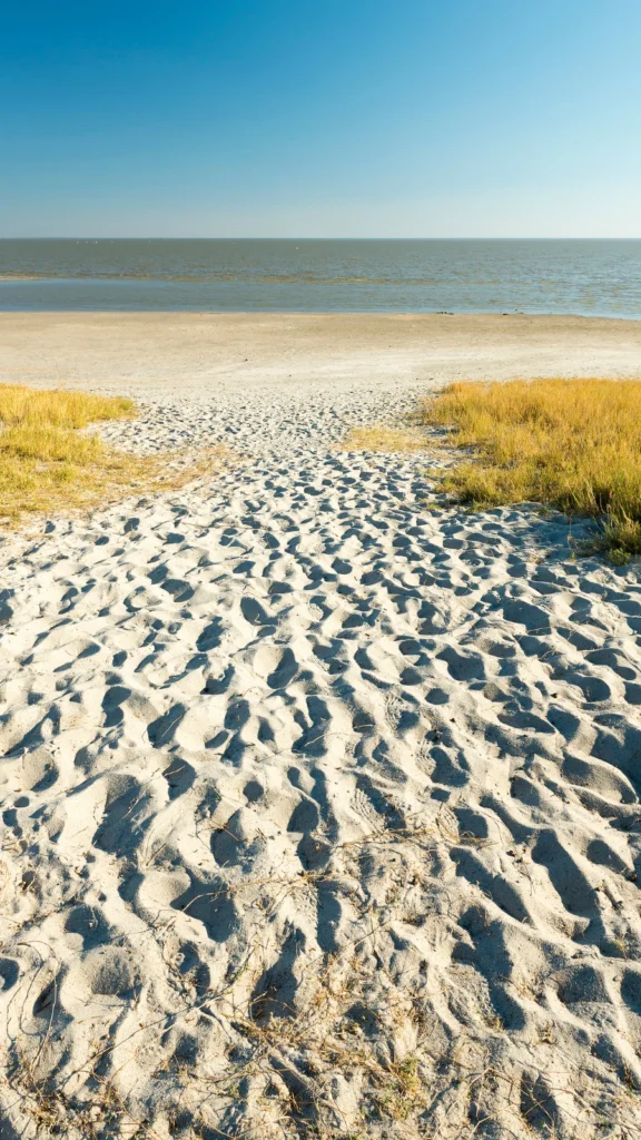 Solniska w Makgadikgadi w Botswanie