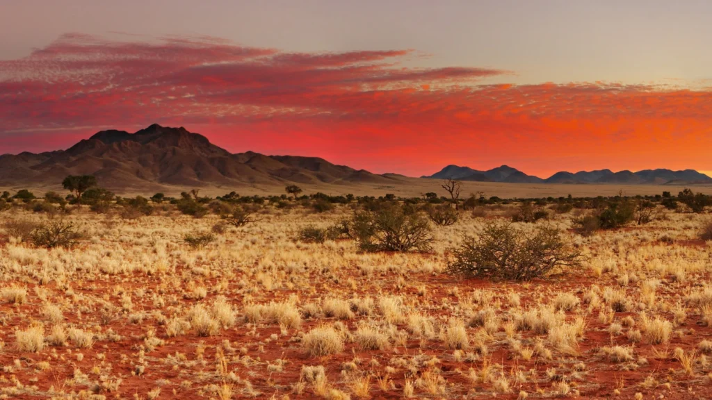 Wschód słońca nad pustynią Kalahari w Botswanie